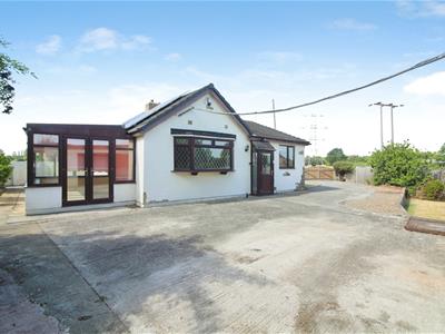 Picture 24